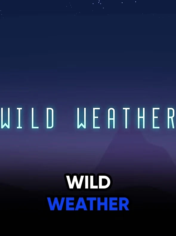 Wild Weather